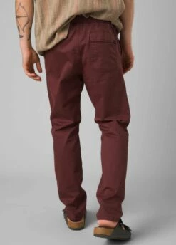 Prana Mojave Pant -BackcountryGear Whop 1972491 CACAO ALT 2 35113.1675280454