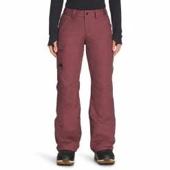 The North Face Freedom Insulated Pant - Women's (Fall 2022)