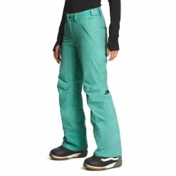 The North Face Freedom Insulated Pant - Women's (Fall 2022) 13 The North Face Freedom Insulated Pant - Women's (Fall 2022) -BackcountryGear Whop NF0A5ACY 6R7 model34 rsz 44536.1673569343.1280.1280 06269.1675301478