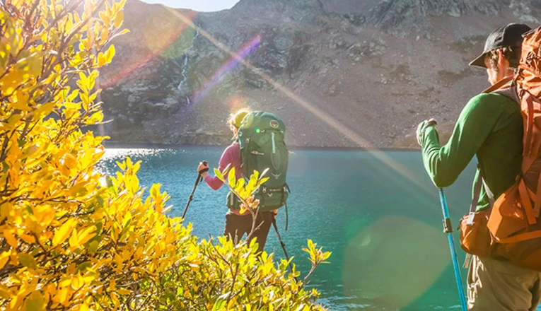 BackcountryGear Whop -BackcountryGear Whop h cat img3